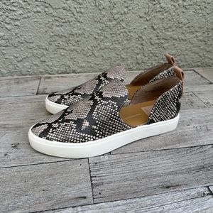Dolce Vita Size 6 Snakeskin shoes